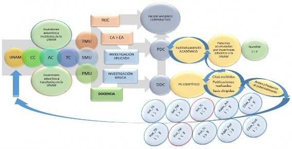 C:\Users\Userr\Downloads\PABLO - ADMINISTRACION DEL CONOCIMIENTO\PUBLICACION ACACIA\FIGURAS\FIGURA 10. Modelo_inicial_AC.jpg